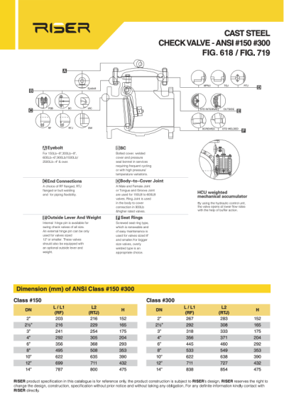 Cast Steel Valve Product Series – Riser Valve